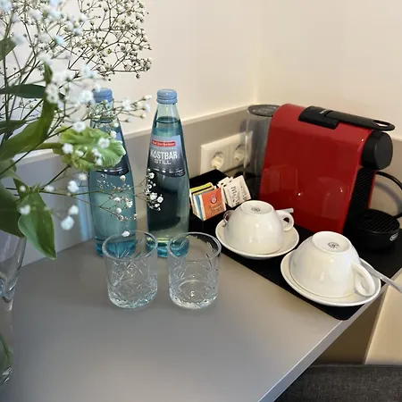 Gaestehaus Falken Hotel *