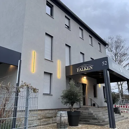 Gaestehaus Falken Хехинген