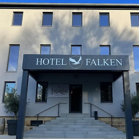 Gaestehaus Falken Hotel Hechingen